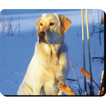 Old English Sheepdog (1) Dog Mousemat   180