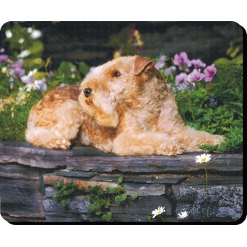 Old English Sheepdog  (2) Dog Mousemat   181