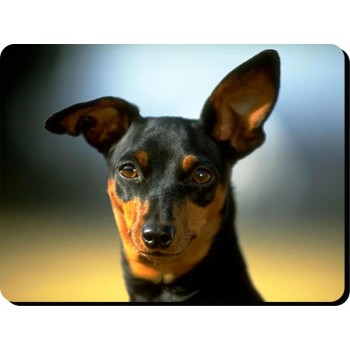 Poodle (Toy Black) Dog Mousemat   192