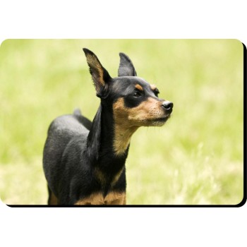 Poodle (Toy Grey) Dog Mousemat   193