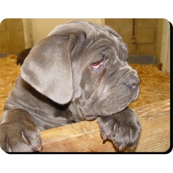 Poodle (Standard Brown)  Dog Mousemat   195