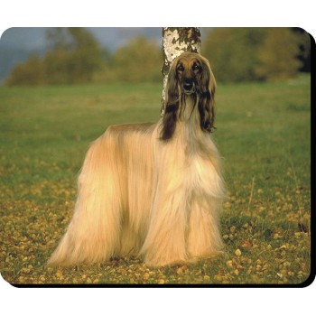 Afghan Hound (Black) Dog Mousemat   2