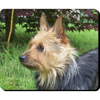 Basenji Dog Mousemat   20