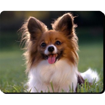 Puli Dog Mousemat   201