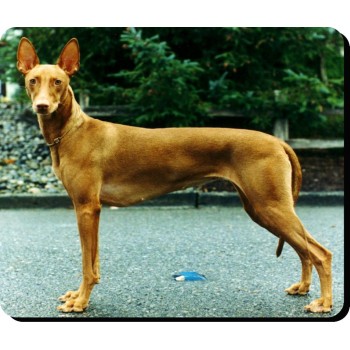 Rough Collie Dog Mousemat   205