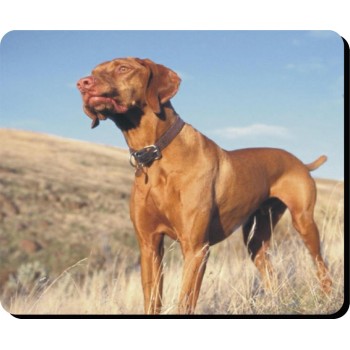 Subueso Espanol Dog Mousemat   206