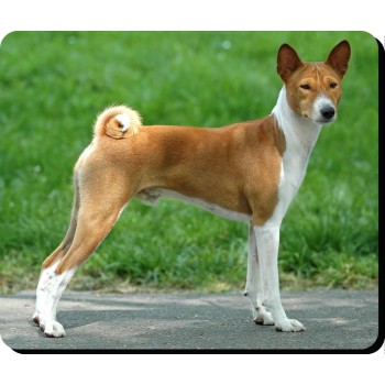 Basset GRAND Vendeen Dog Mousemat   21
