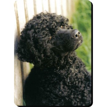 Giant Schnauzer  Dog Mousemat   213