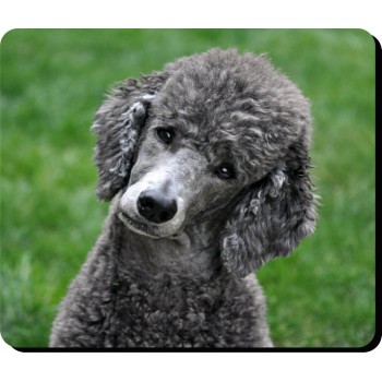 Miniature Schnauzer  Dog Mousemat   214