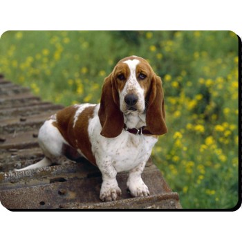 Basset Hound  Dog Mousemat   22
