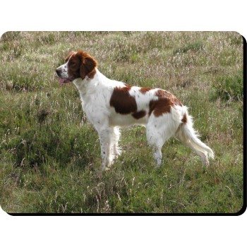 Shar Pei (Fawn) Dog Mousemat   220