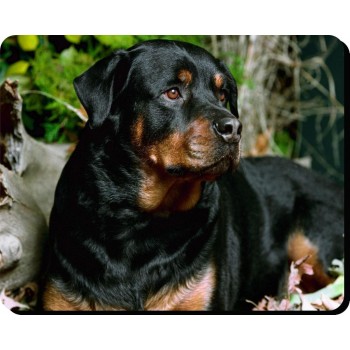 Shiba Inu Dog Mousemat   222