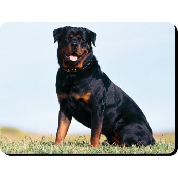 Shih tzu (BK & WT SH) Dog Mousemat   223