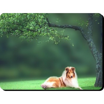 Shih tzu (WT & BK)Dog Mousemat   228