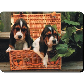Basset PETIT Griffon Dog Mousemat   23
