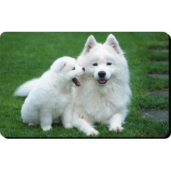 Shih tzu (White) Dog Mousemat   230