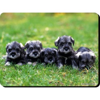 Silky Terrier Dog Mousemat   231