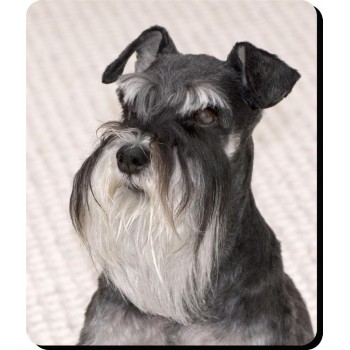 Smooth COLLIE  Dog Mousemat   233