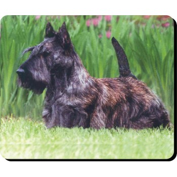 Spanish water Spanish (Black) Dog Mousemat   234