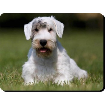 Spanish water Spanish (Brown) Dog Mousemat   235