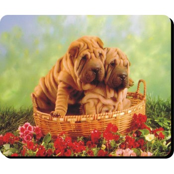 Spinone Dog Mousemat   236