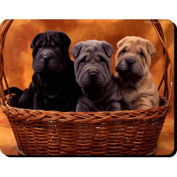 Springer Spaniel (brown & White)Dog Mousemat   238