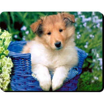 Saint Bernard Dog Mousemat   239