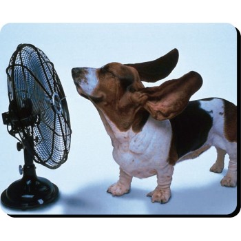 Beagle  Dog Mousemat   24
