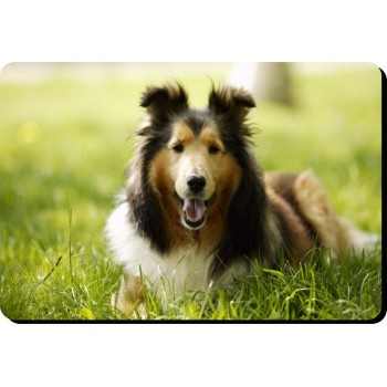 Staffordshire bull terrier (Black) Dog Mousemat   240