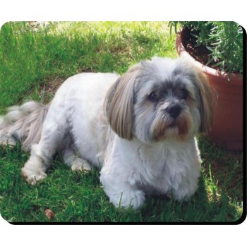 Staffordshire bull terrier (Blue) Dog Mousemat   241