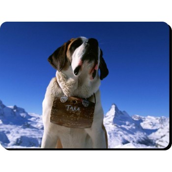 Tibetan Terrier (black & white) Dog Mousemat   247