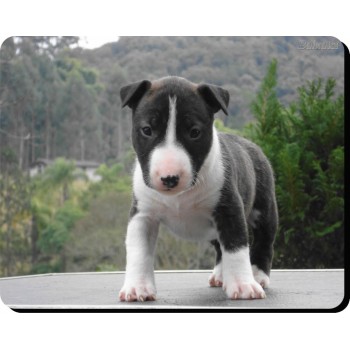 Welsh Border Collie Dog Mousemat   250
