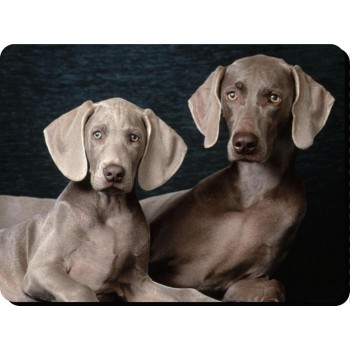 West Highland terrier (Westie) Dog Mousemat   253