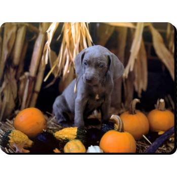 Wheaten Terrier  Dog Mousemat   254