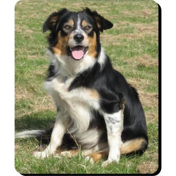 Whippet (Brown & white)  Dog Mousemat   255