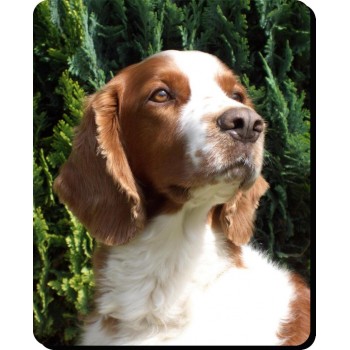 Whippet (Grey & white)   Dog Mousemat   257
