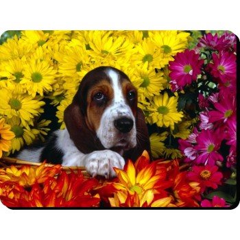 Bedlington Terrier  Dog Mousemat   27