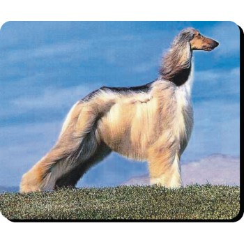 Afghan Hound (Blonde) Dog Mousemat   3