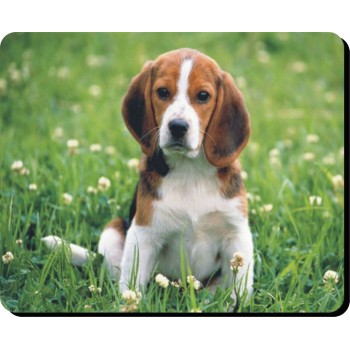 Bernese Mountain Dog Mousemat   30