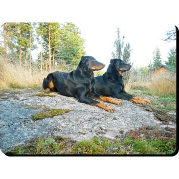 Bloodhound  Dog Mousemat   33