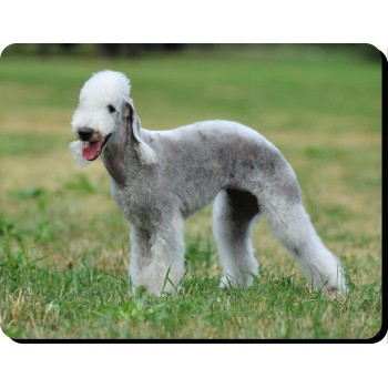 Border Collie Dog Mousemat   35