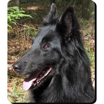 Borzoi Brindle Dog Mousemat   37