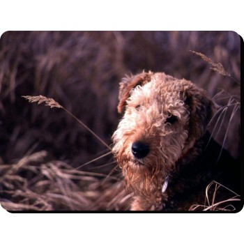 Airedale Terrier Dog Mousemat   4