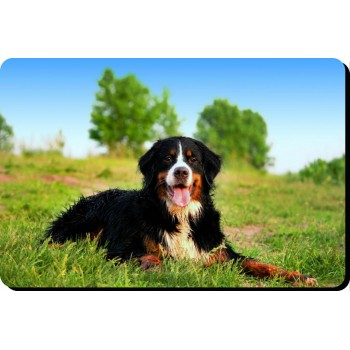 Bouvier des Flandres  Dog Mousemat   40