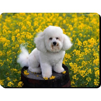 Boxer dog (White dog) Dog Mousemat   41