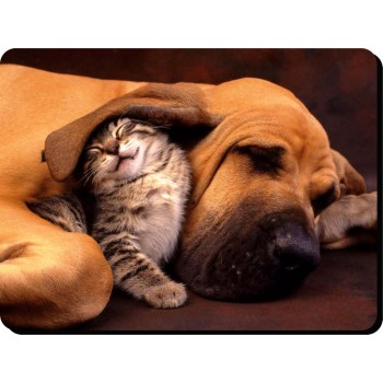 Boxer (young Adult)  Dog Mousemat   44