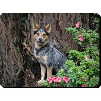 Bracco Italiano  Dog Mousemat   45