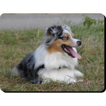 Briard (Black)  Dog Mousemat   46
