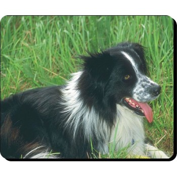 Briard (gold)  Dog Mousemat   47