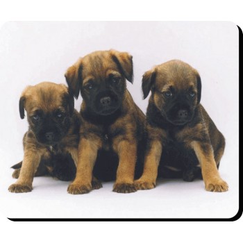 Brussels Griffon (Black) Dog Mousemat   49
